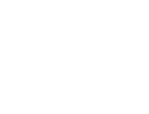 ASIAN COLOR FES B.B