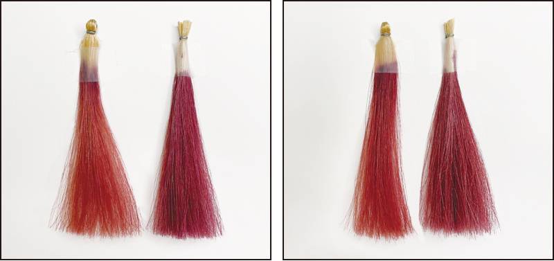 ไขข้อที่คนมักสงสัยเกี่ยวกับสี Asian Color FES