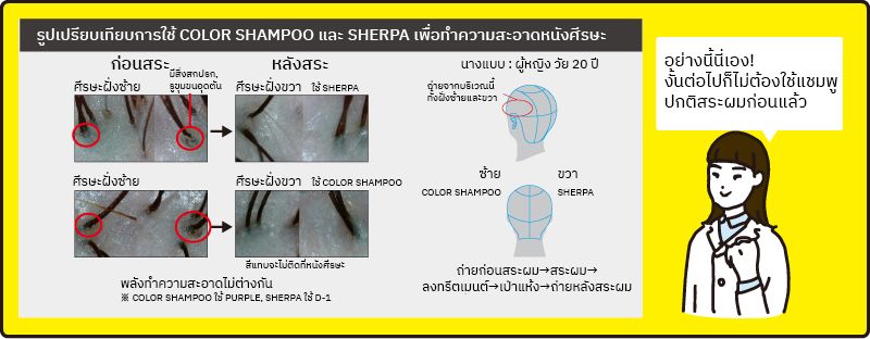 Question & Answer กับผู้เชี่ยวชาญด้านสีย้อมผม